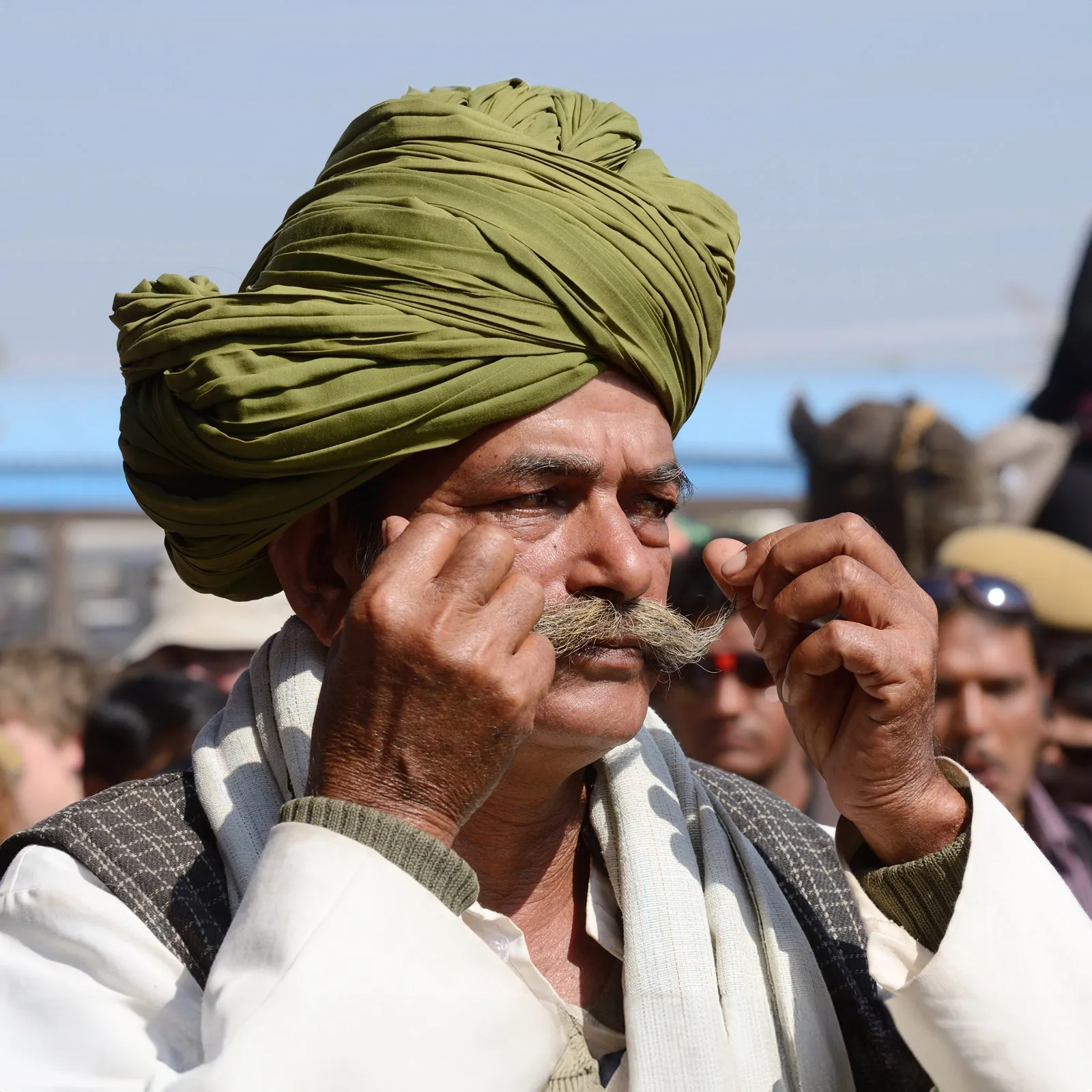 Rajput Warrior
